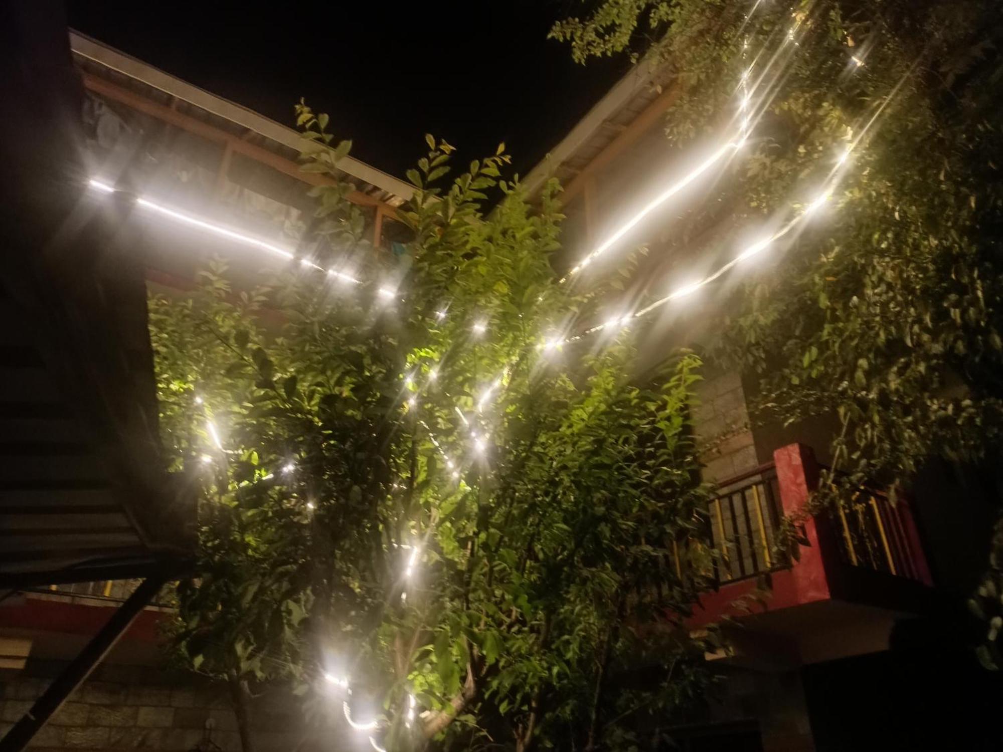 Tirthan Hilltop Home Stay Banjar Exterior photo
